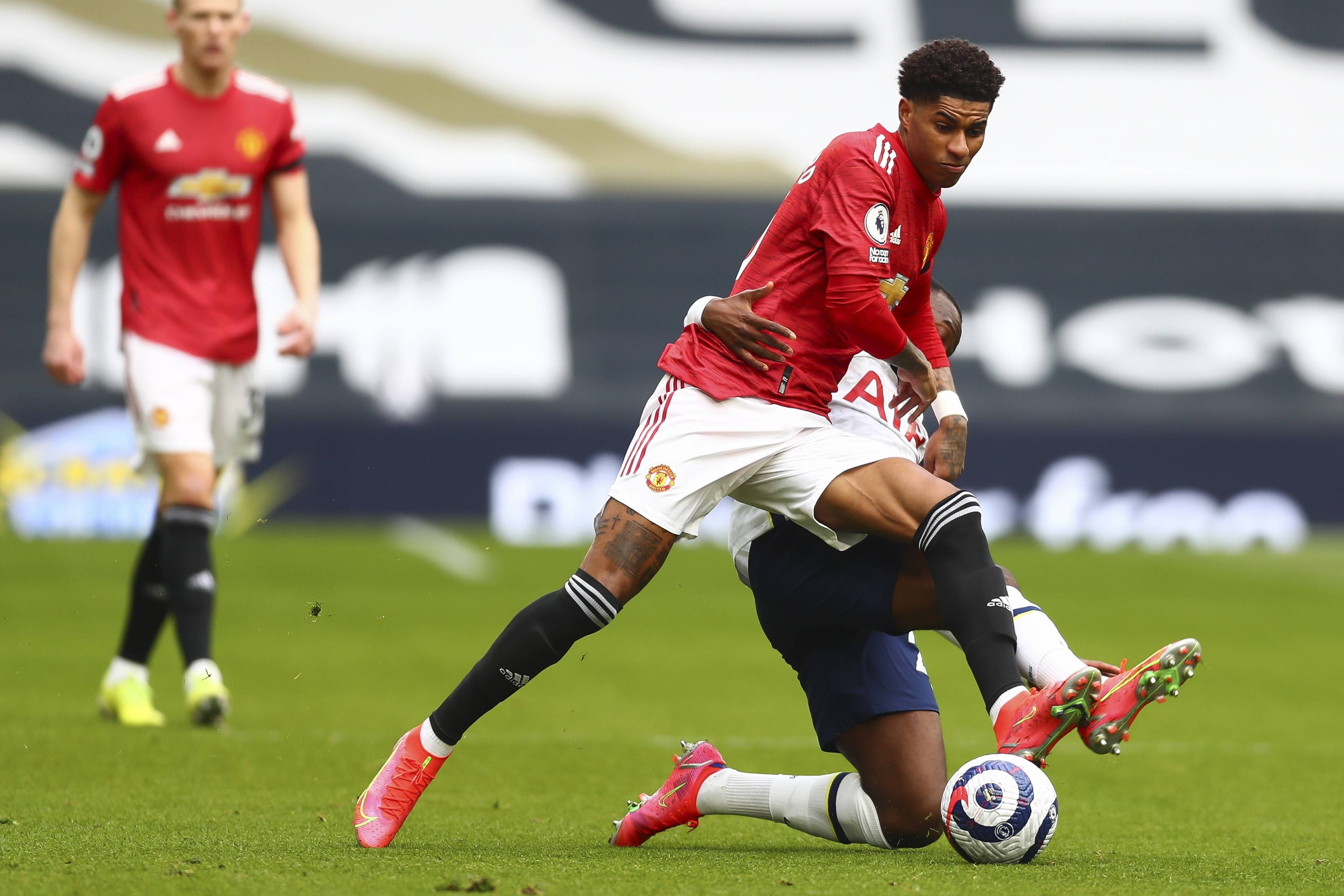 动的发展树 动的发展树